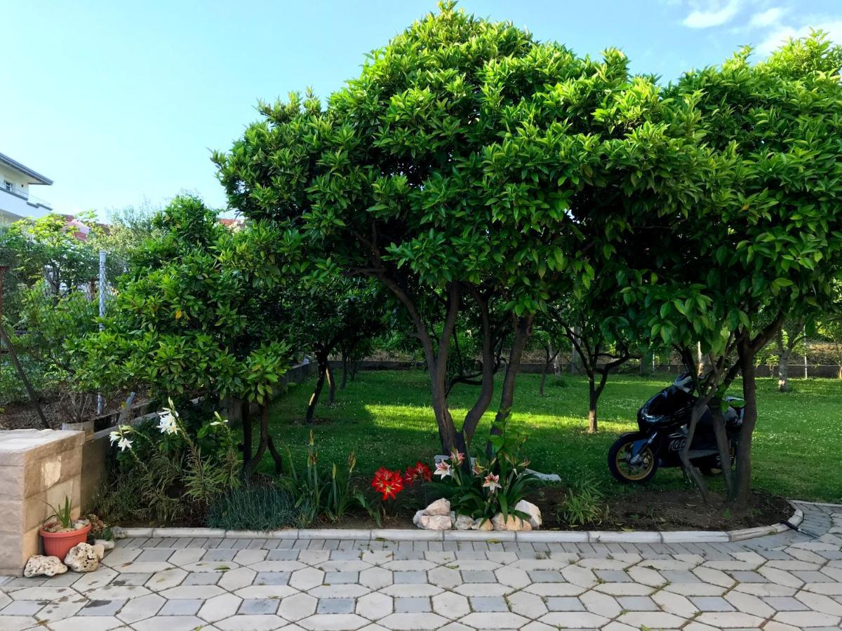 Apartments Kraja Ulcinj Esterno foto